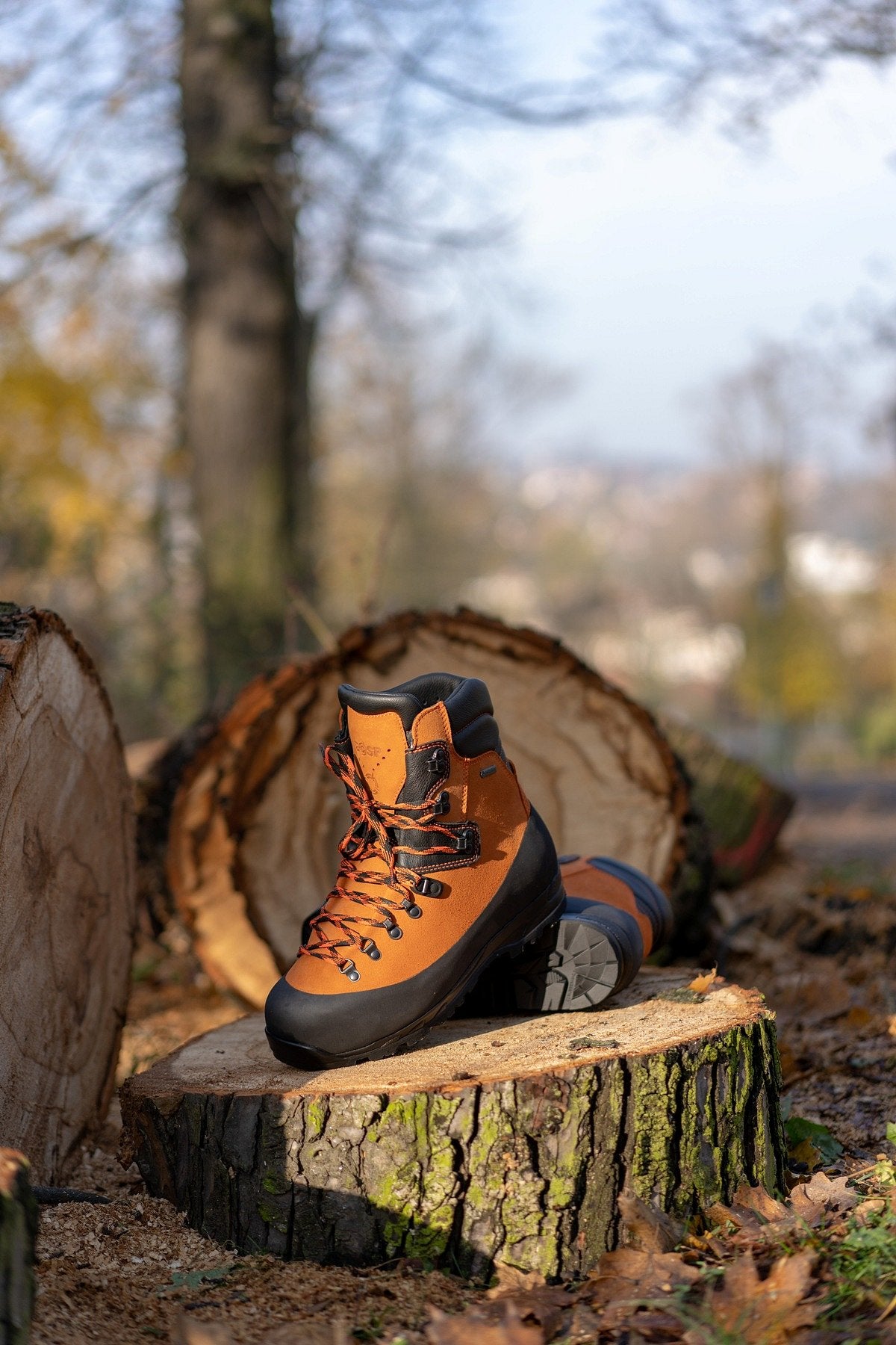 Lesnická obuv Logger Trek – v reálném prostředí 4