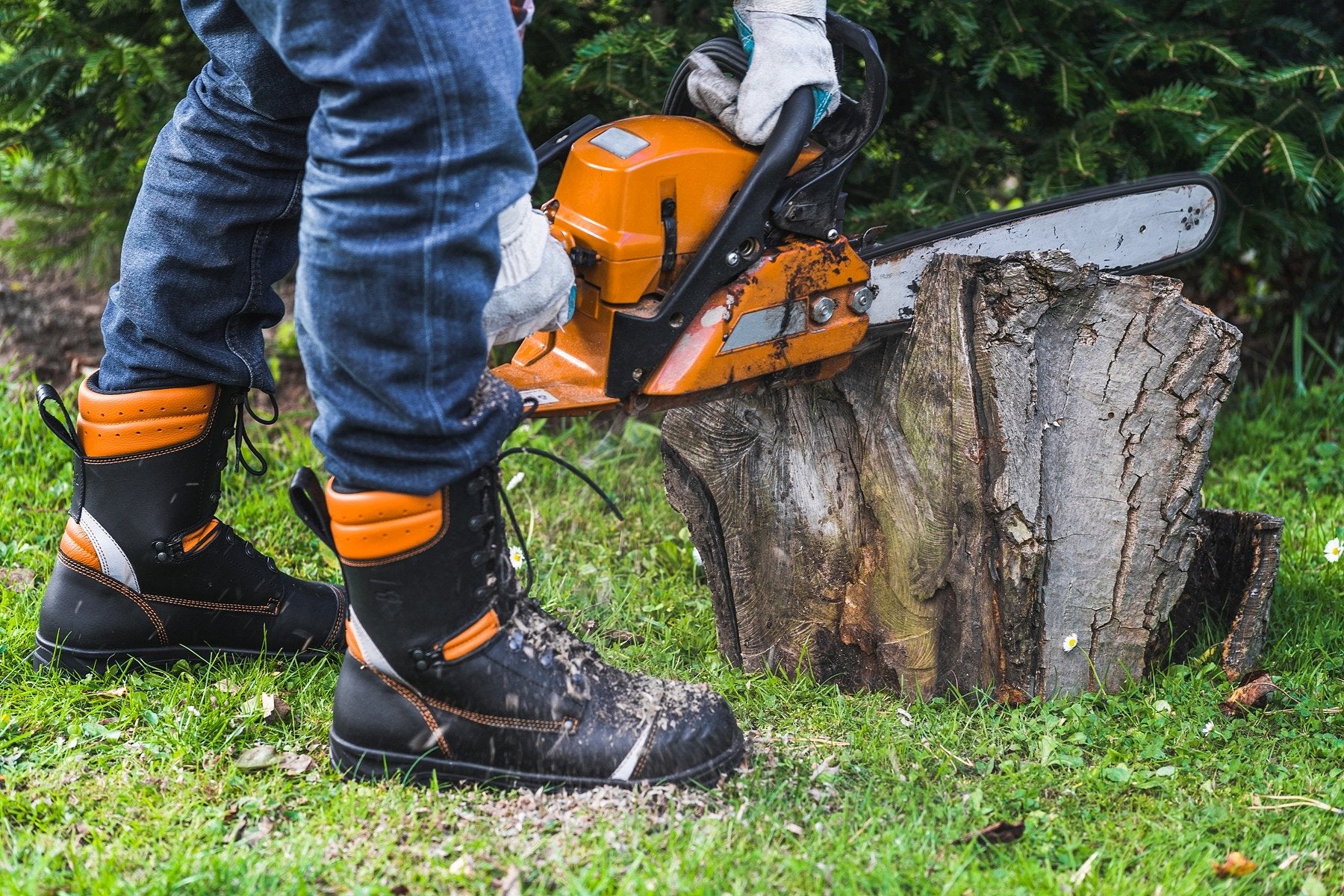 Lesnická obuv Fraker Logger orange – v reálném prostředí 13