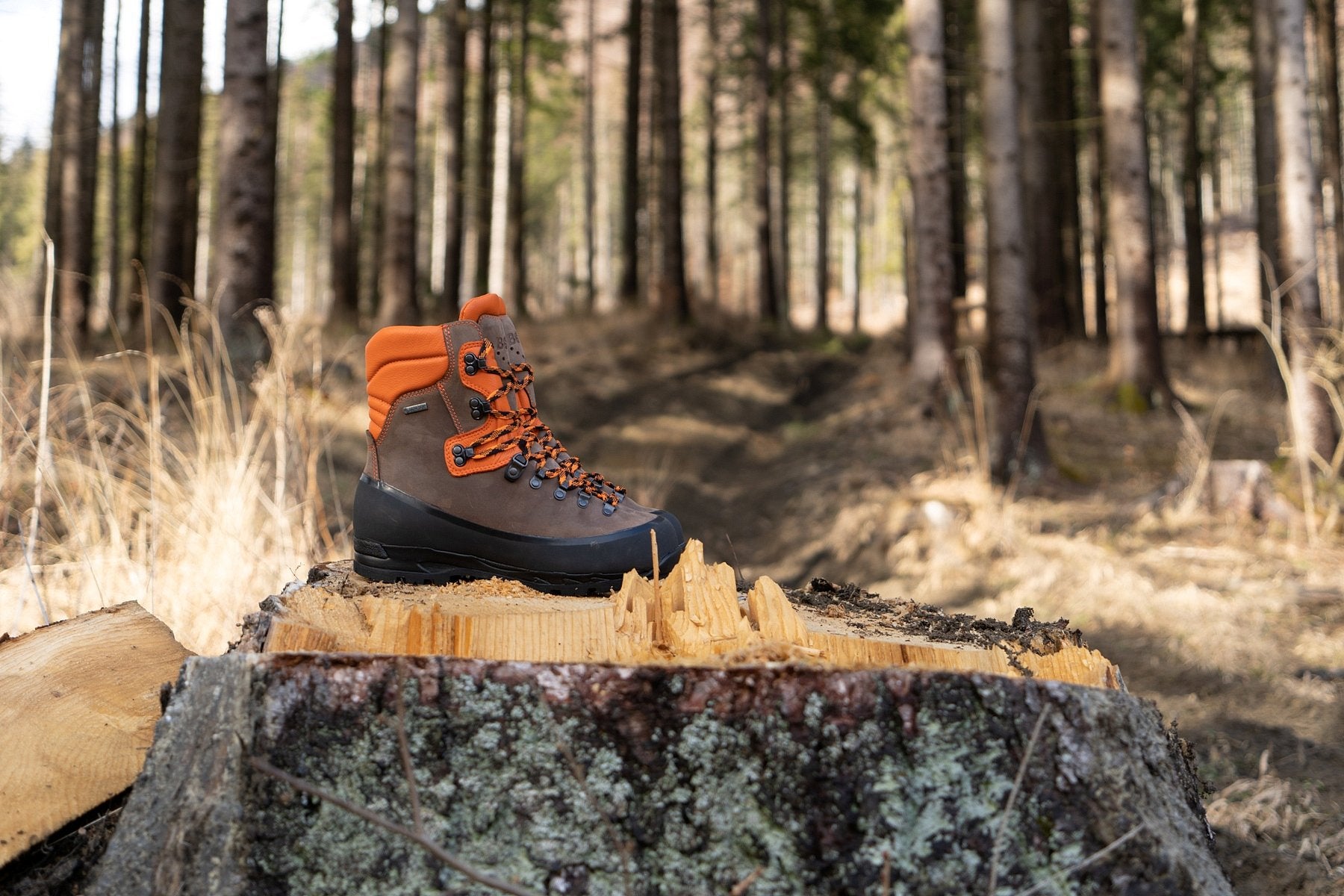 Lesnická obuv Logger Trek Claw – v reálném prostředí 4